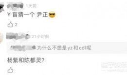 刘大锤今天爆料消息视频,今日热点事件深度解析